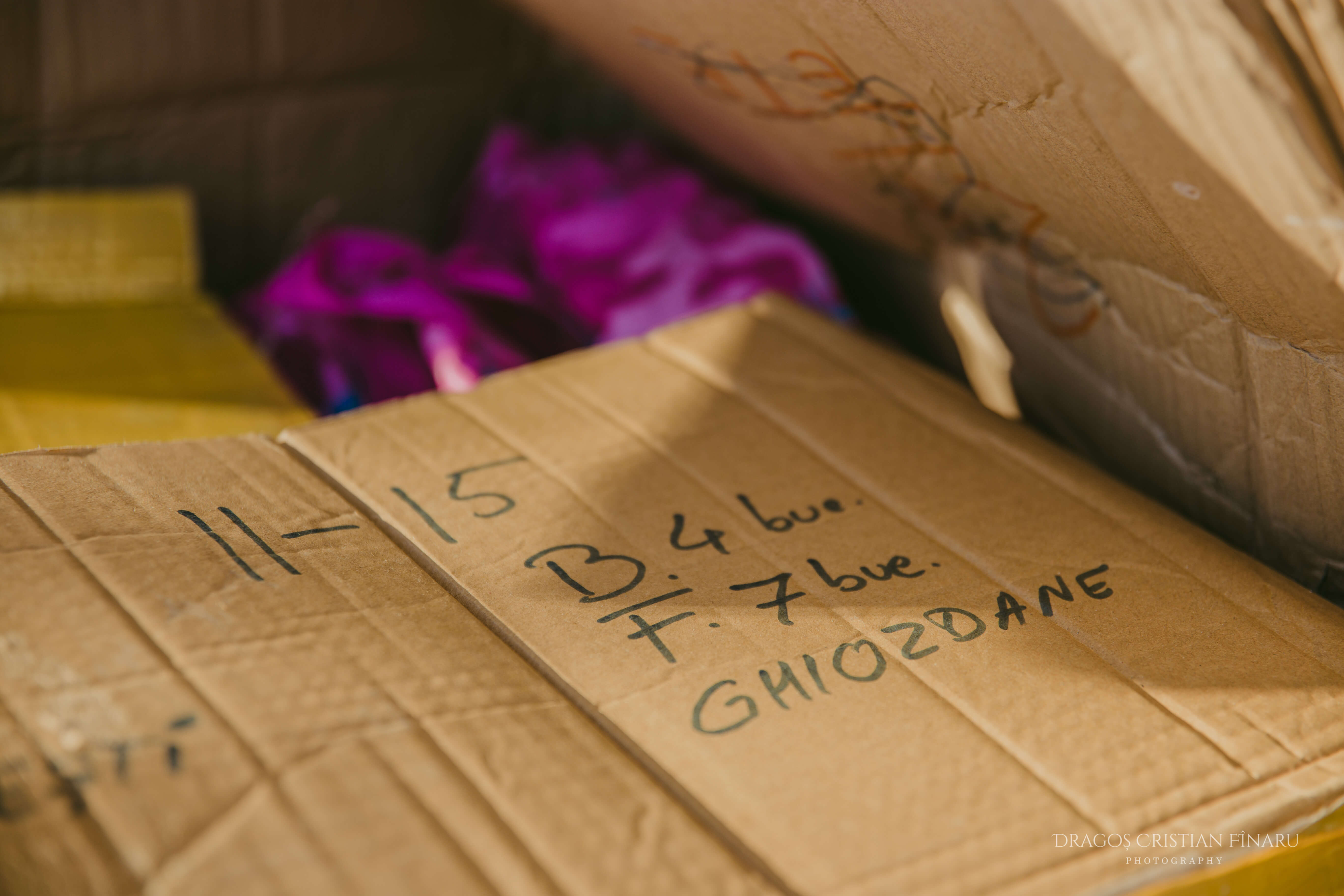 Copii cu cadouri 2018