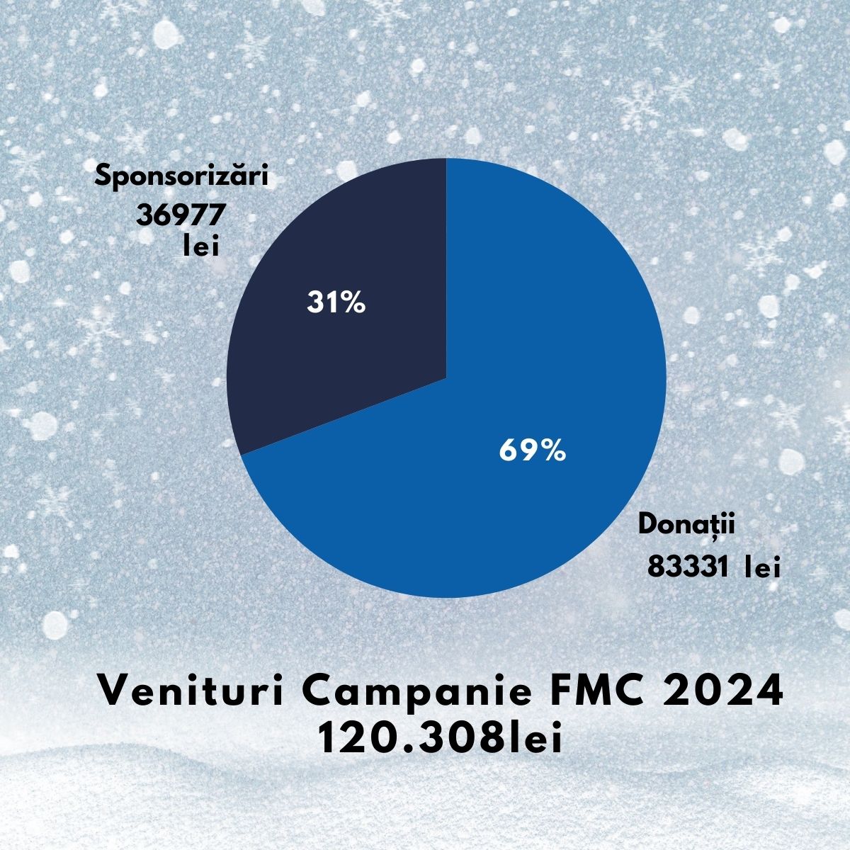Diagramă venituri campanie 2024