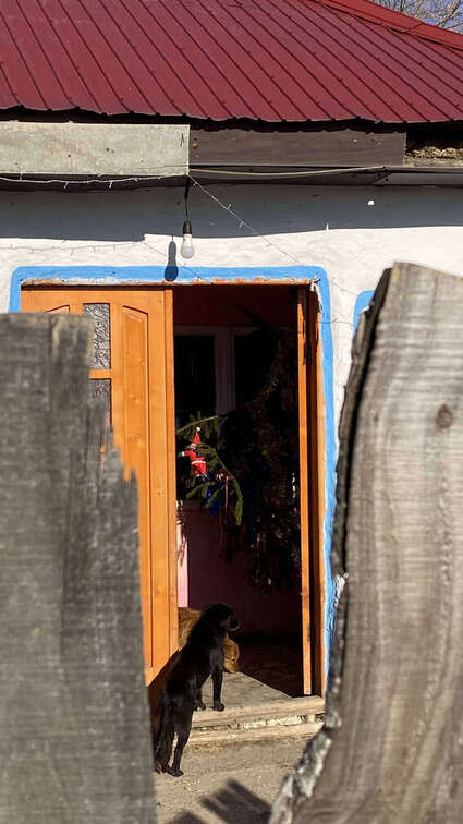 Județul Bacău 2021