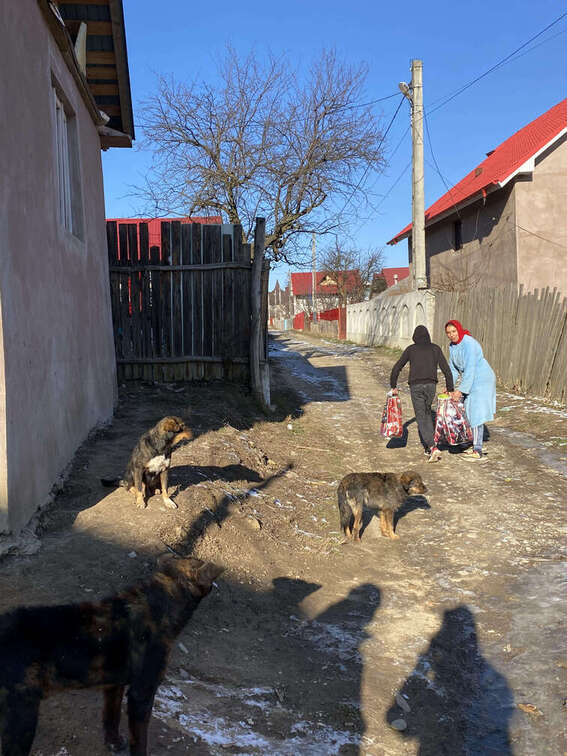 Județul Bacău 2021