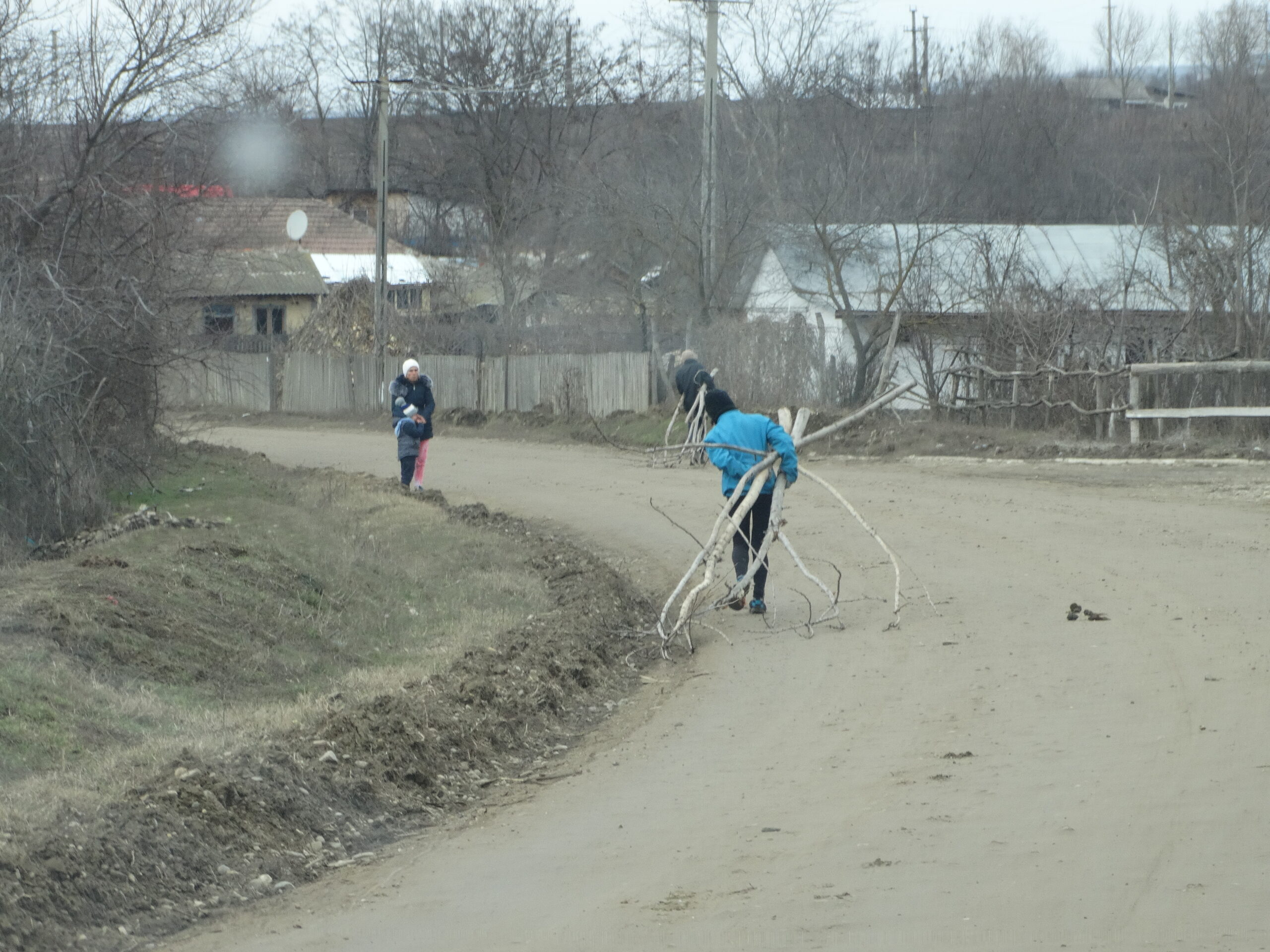 Comuna Bogdănești 2017
