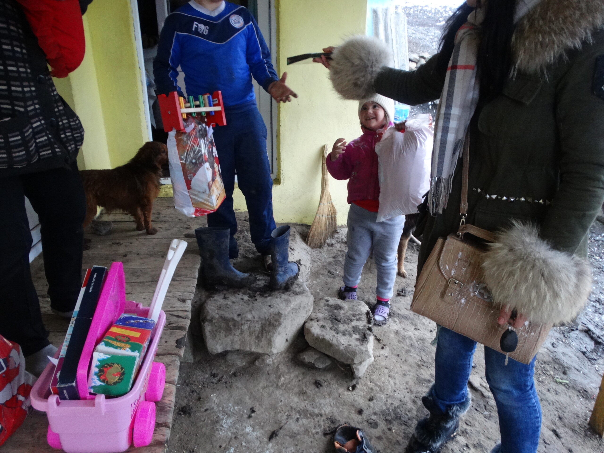 Comuna Bogdănești 2017