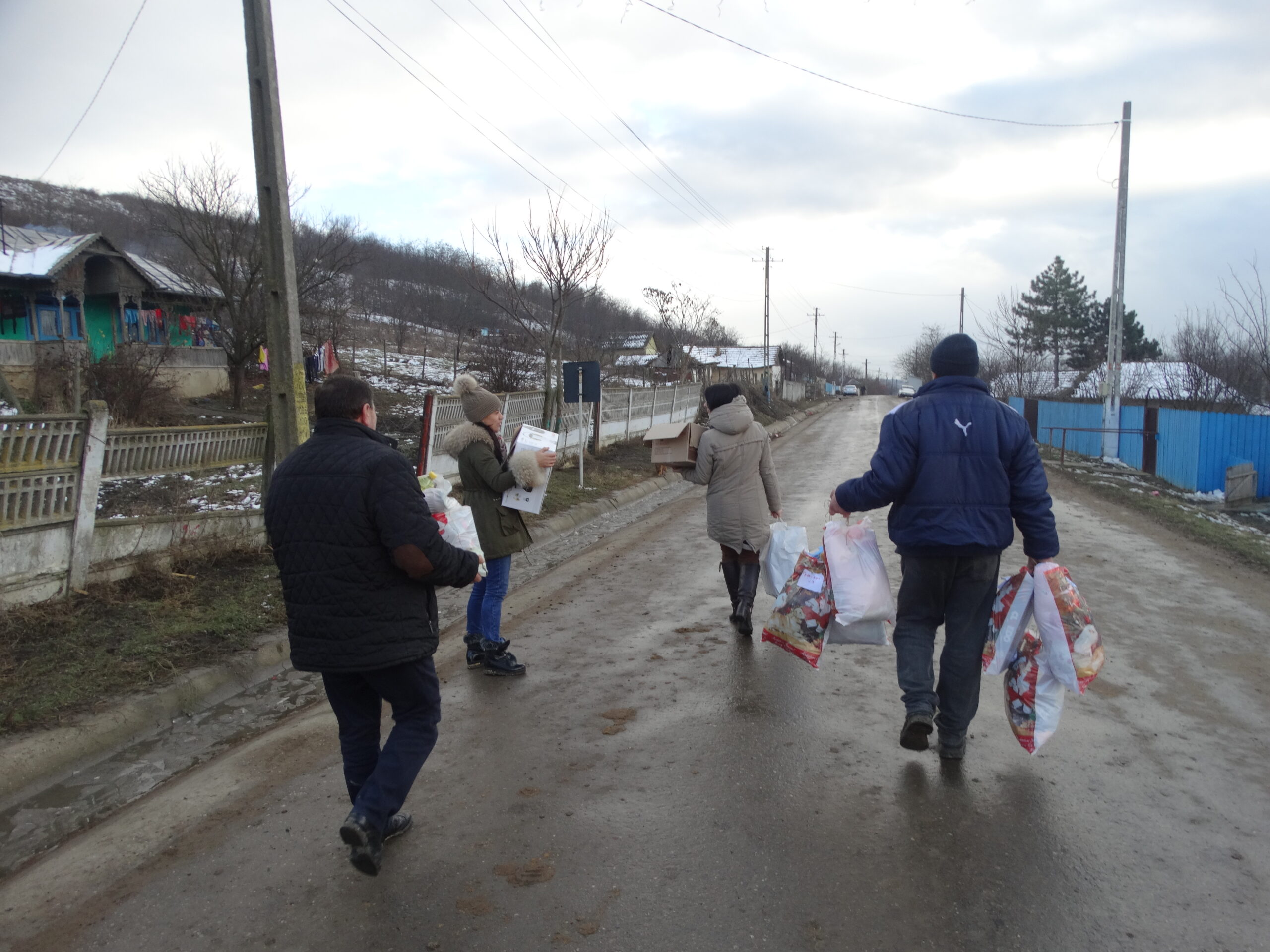 Comuna Bogdănești 2017