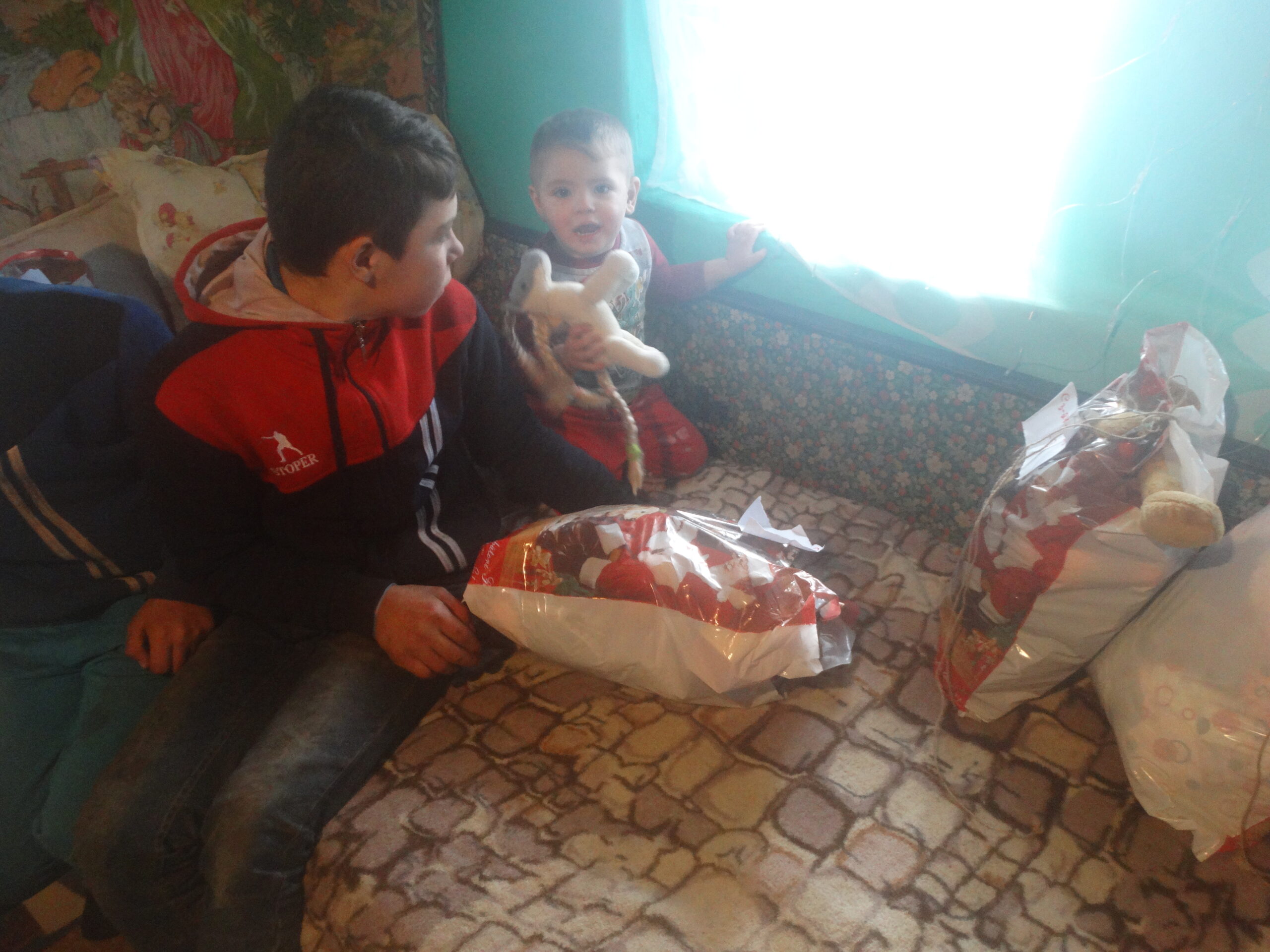 Comuna Bogdănești 2017