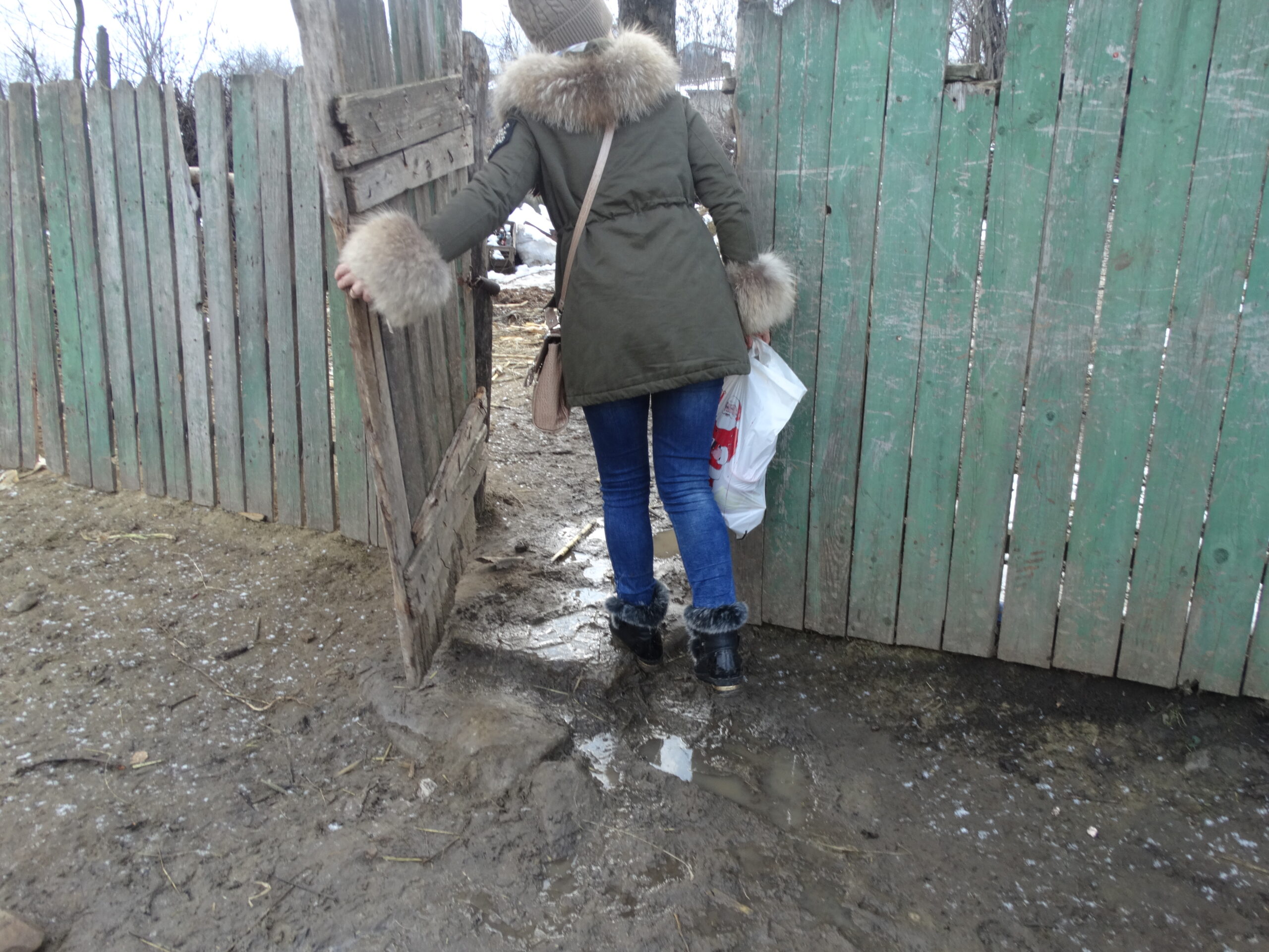 Comuna Bogdănești 2017