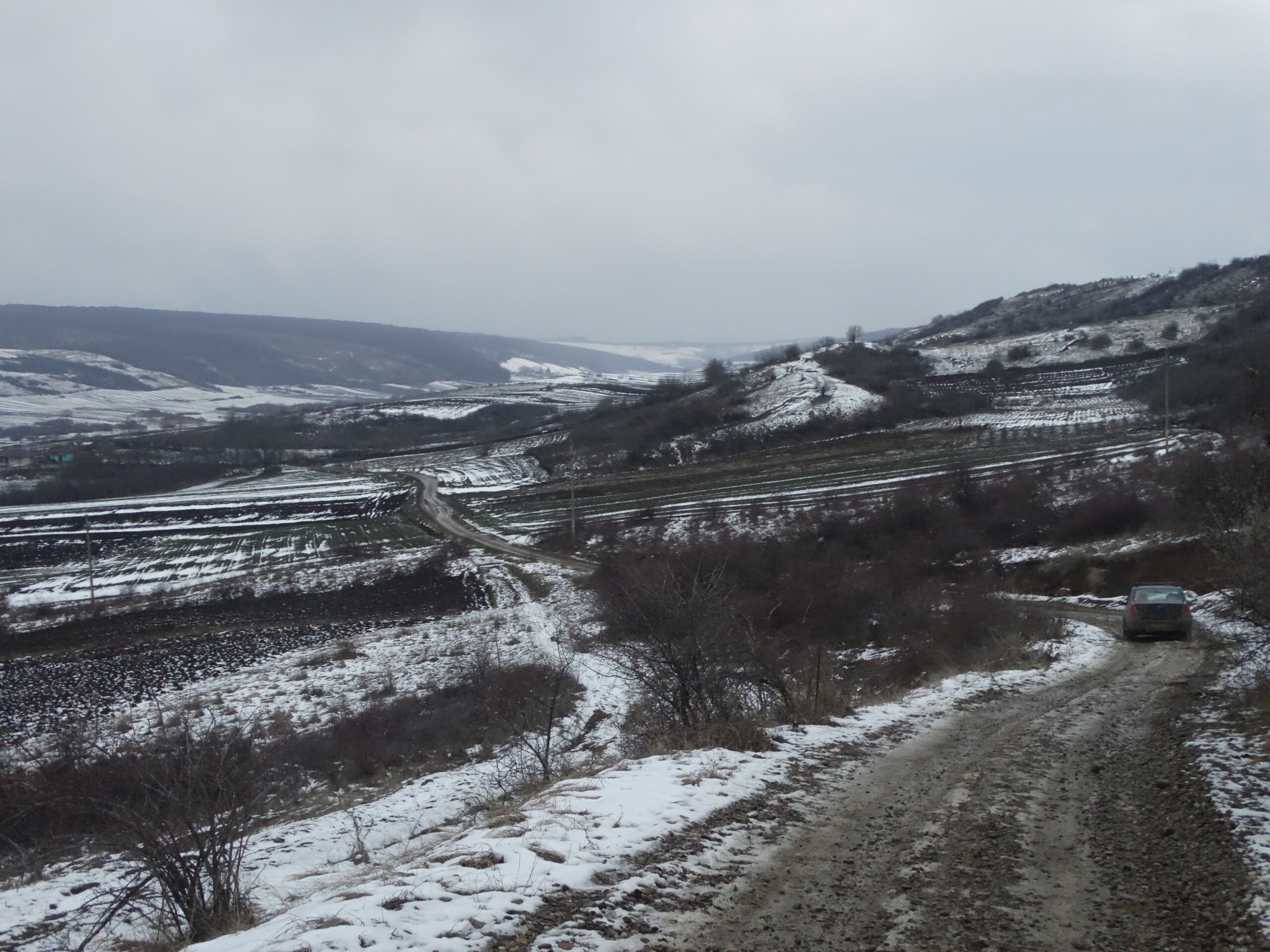 Comuna Bogdănești 2017