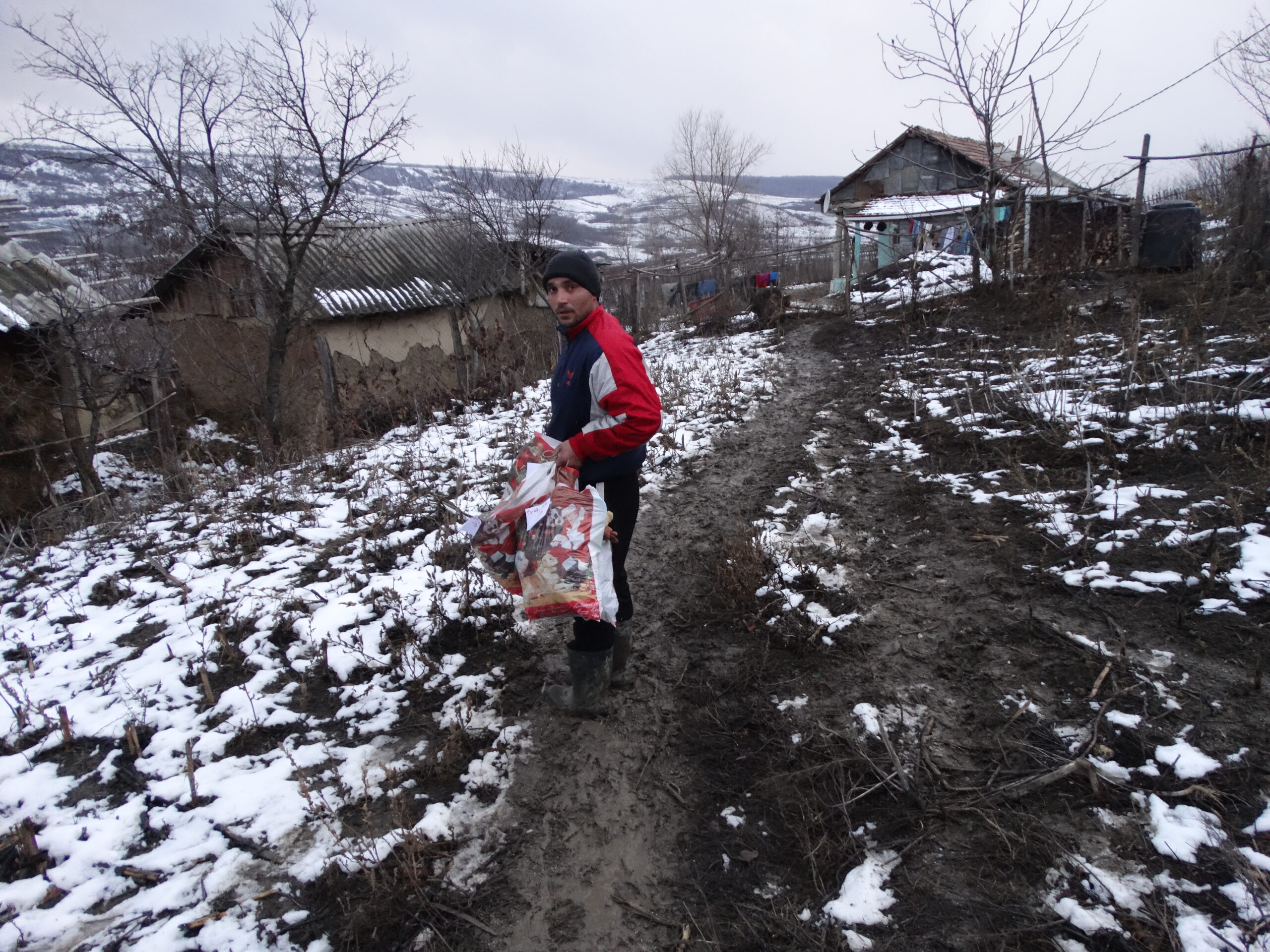 Comuna Bogdănești 2017