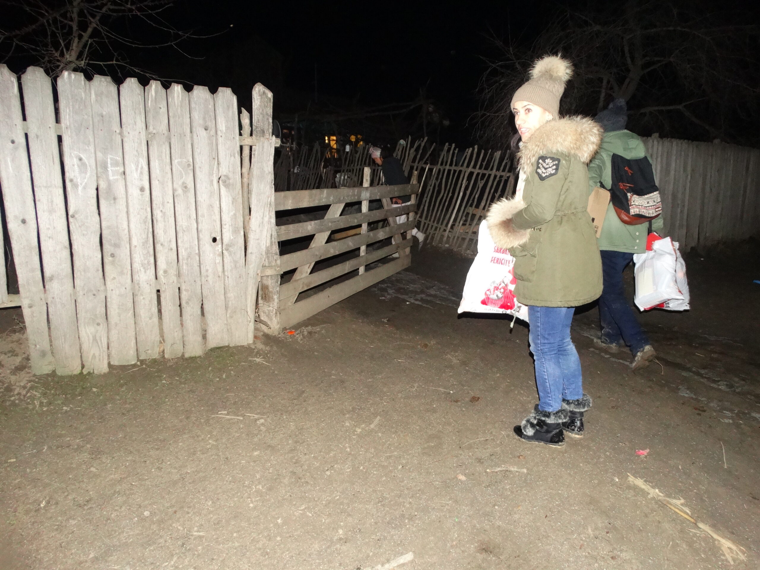 Comuna Bogdănești 2017