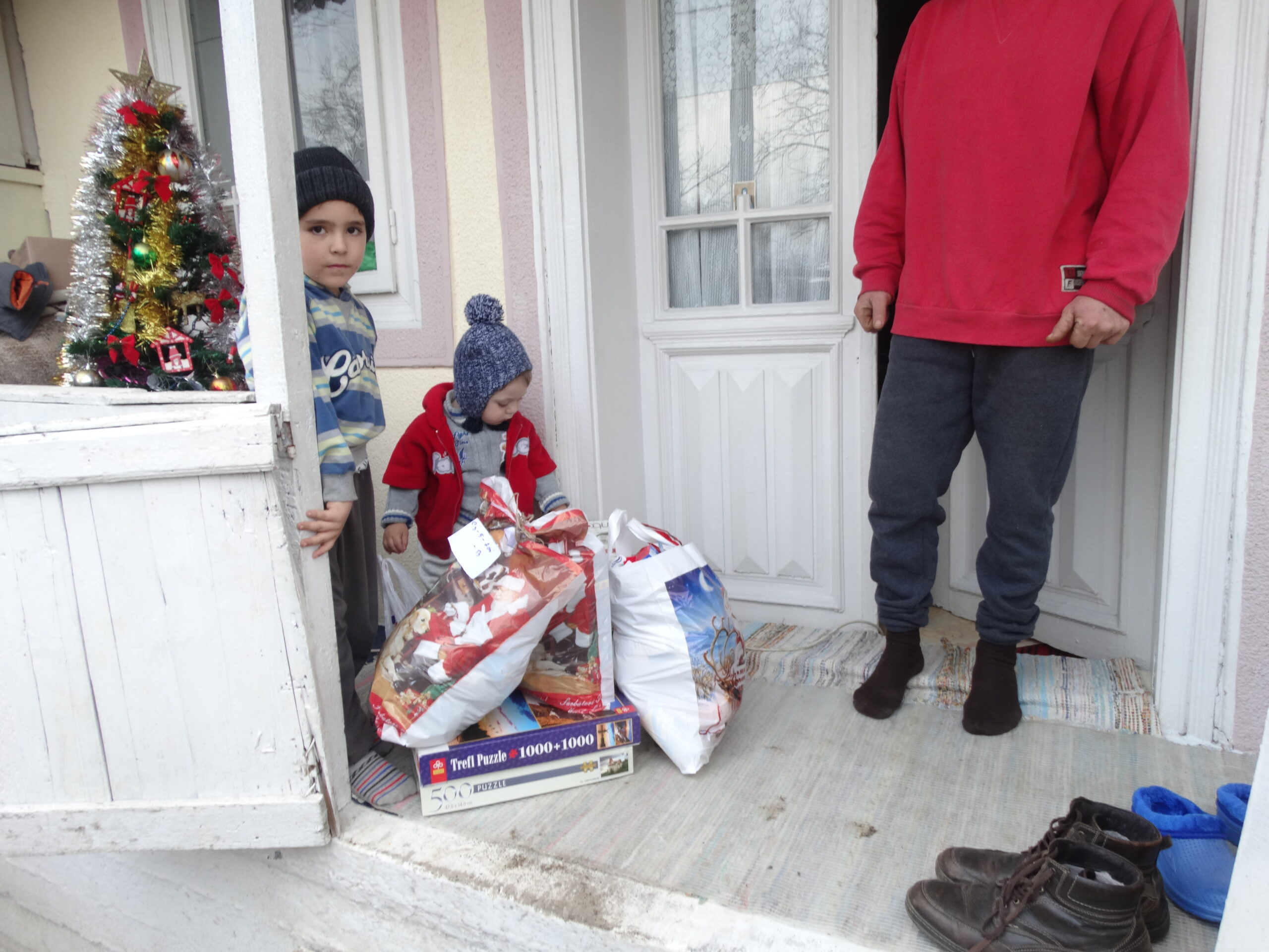 Comuna Bogdănești 2017