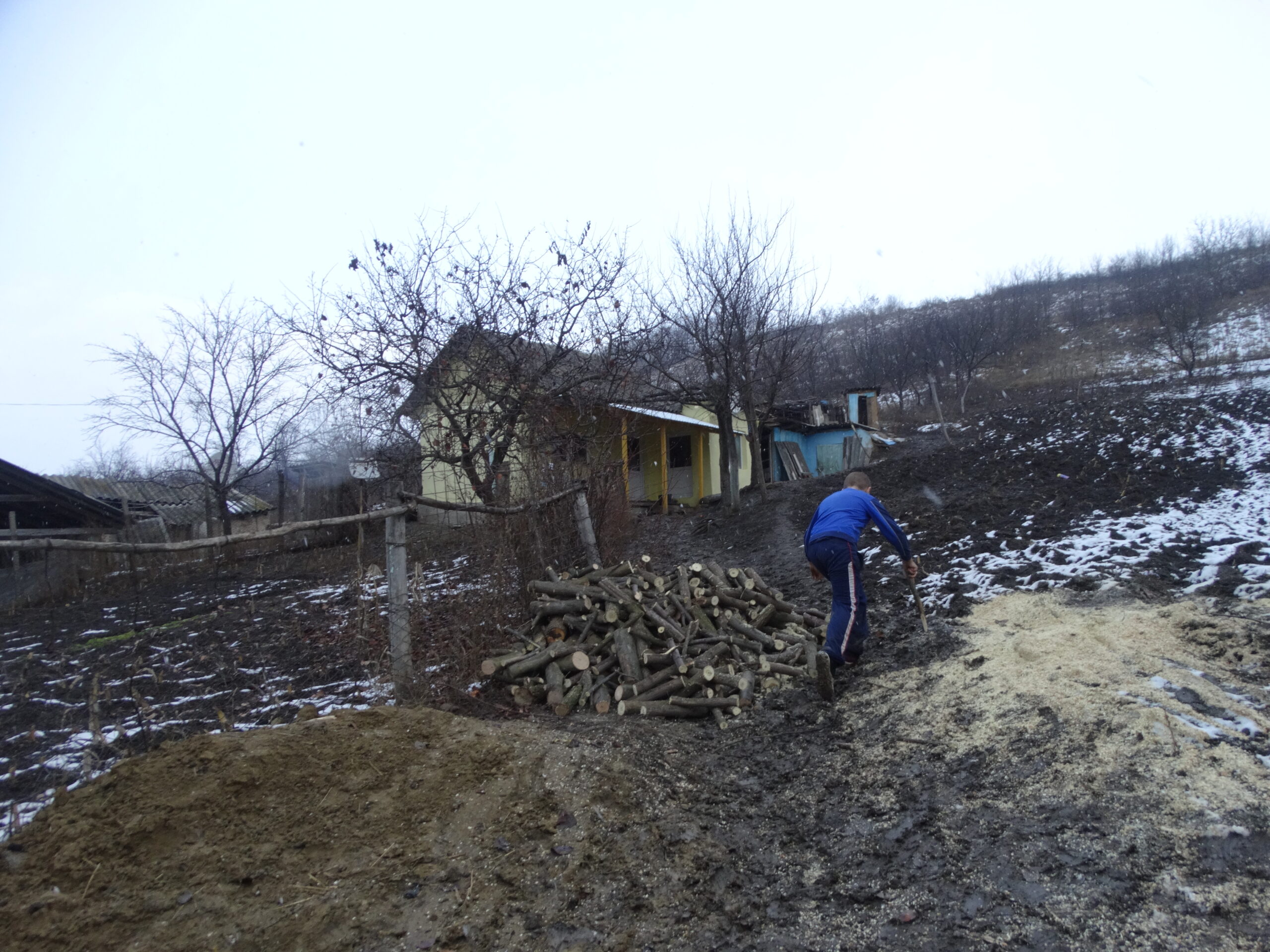 Comuna Bogdănești 2017