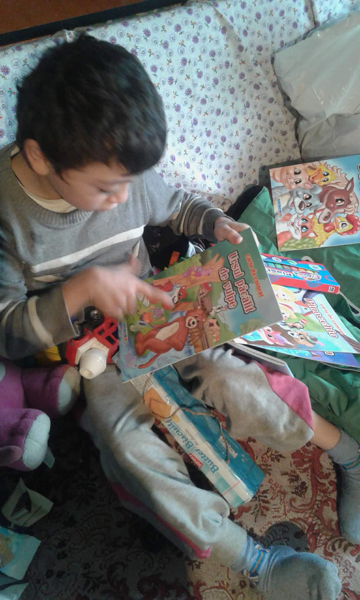 Comuna Puiești 2017