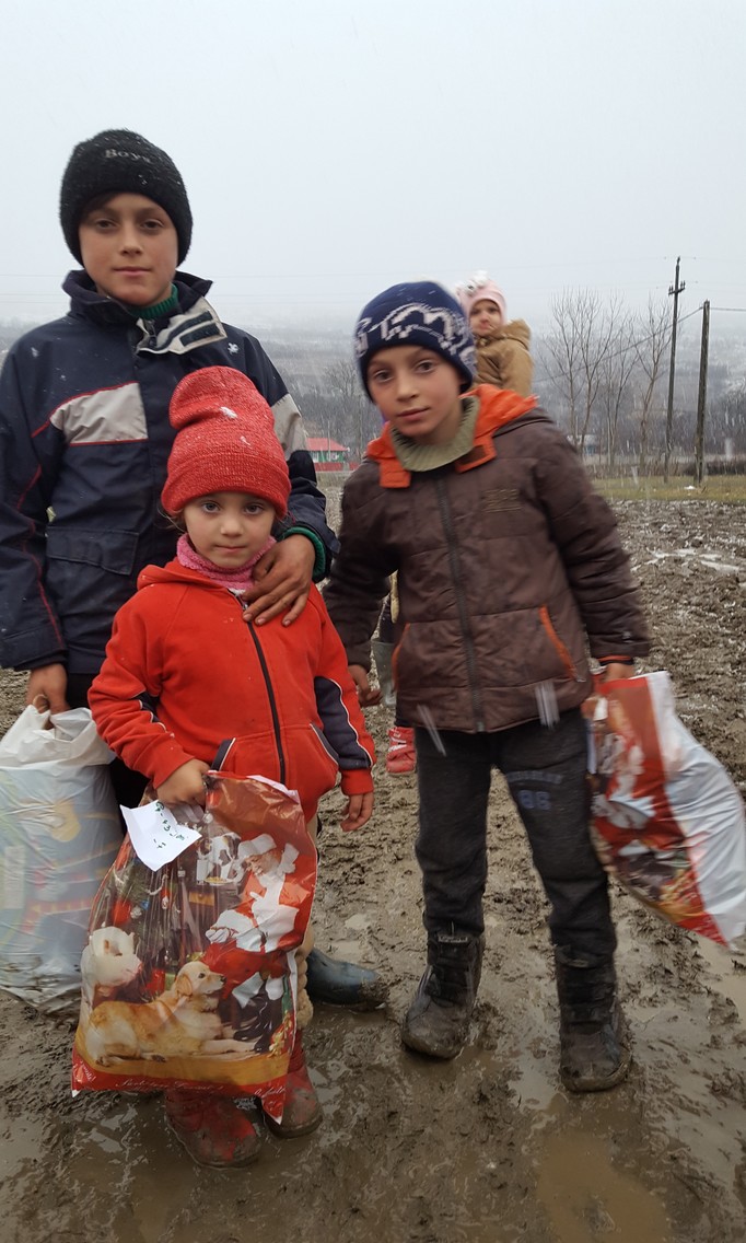 Comuna Puiești 2017