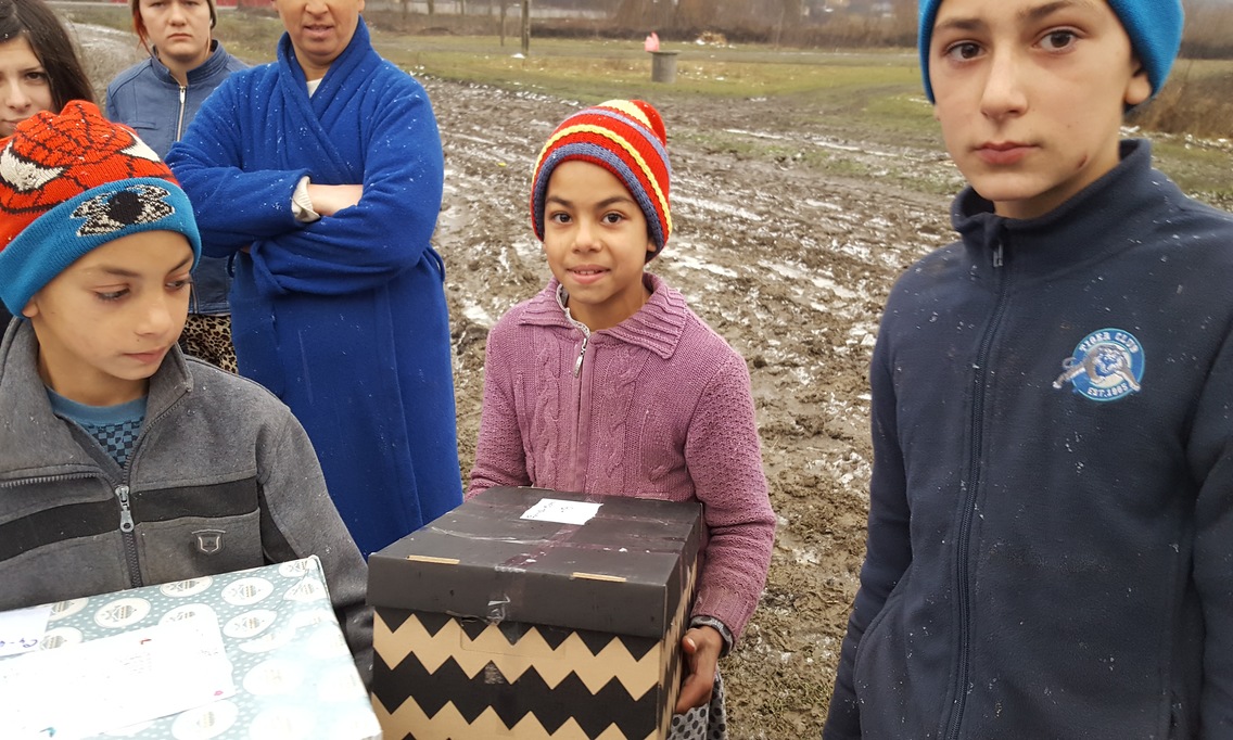 Comuna Puiești 2017