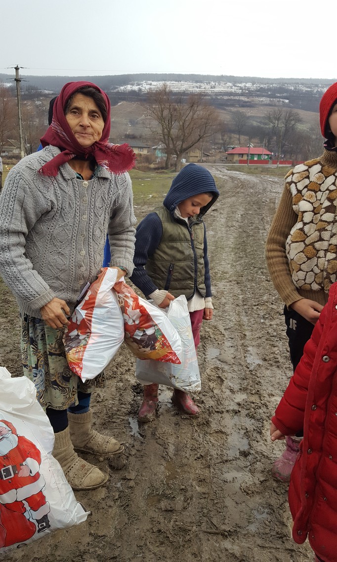 Comuna Puiești 2017