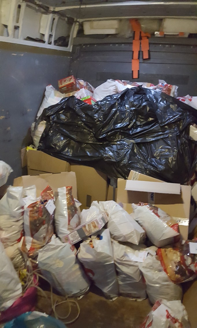 Comuna Puiești 2017