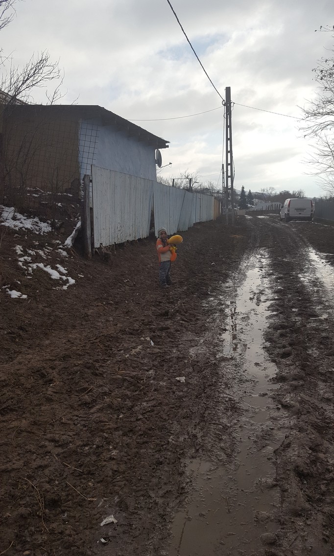 Comuna Puiești 2017