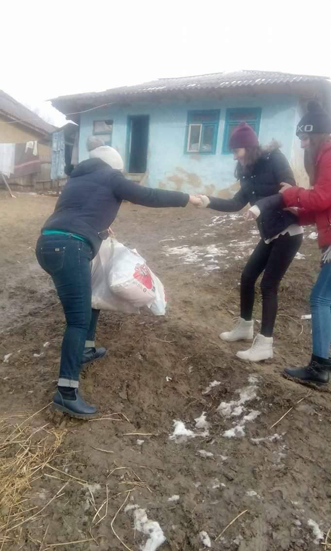 Comuna Puiești 2017