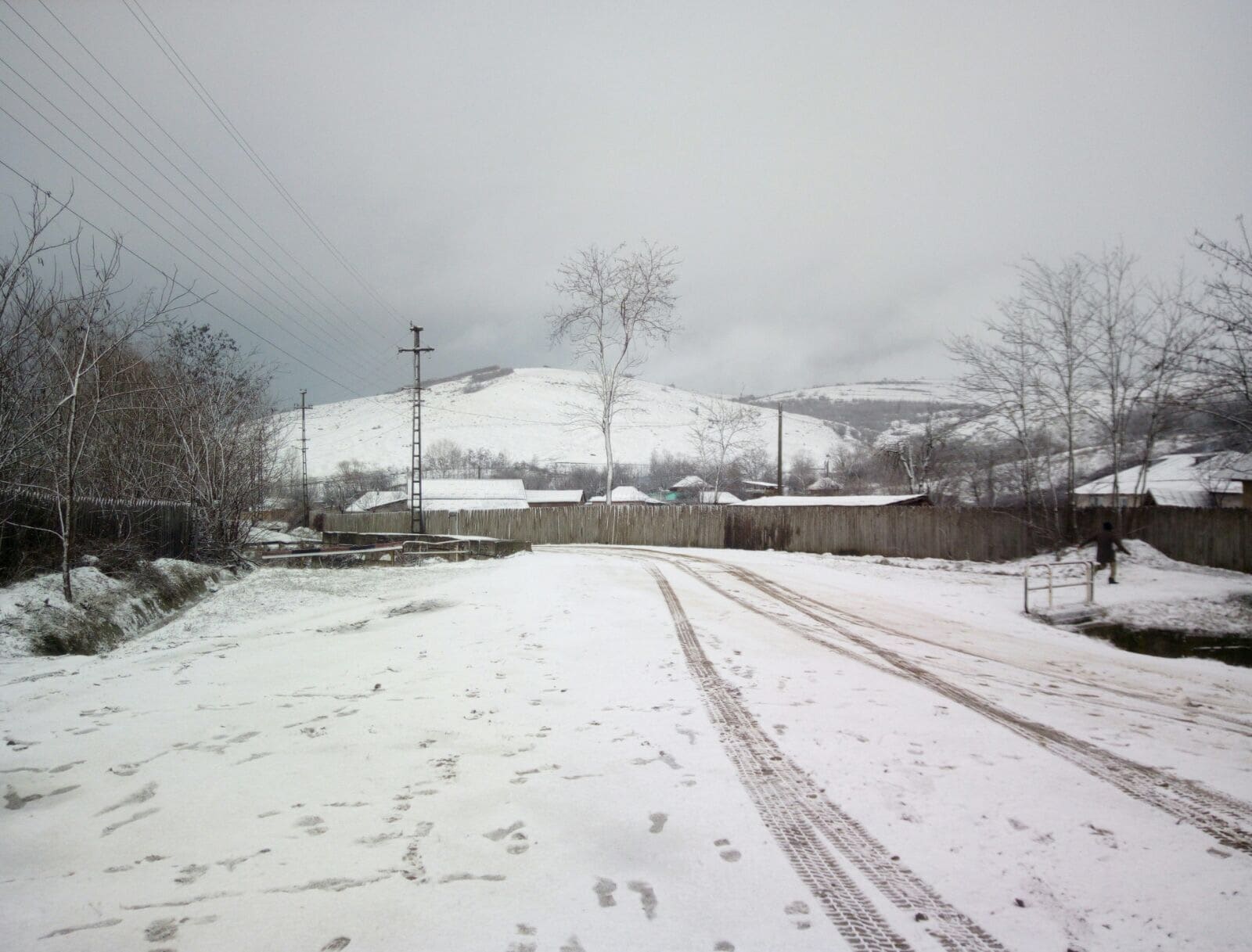 Comuna Puiești 2017