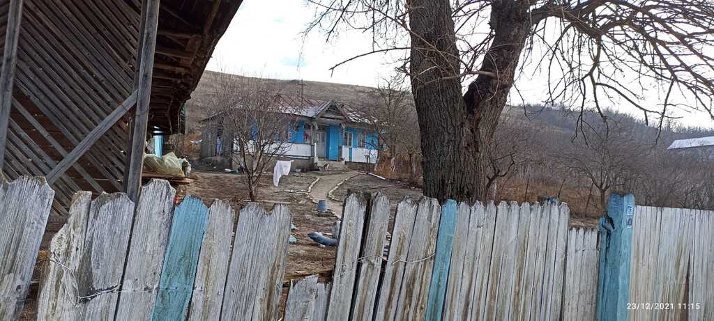 Județul Vaslui 2021