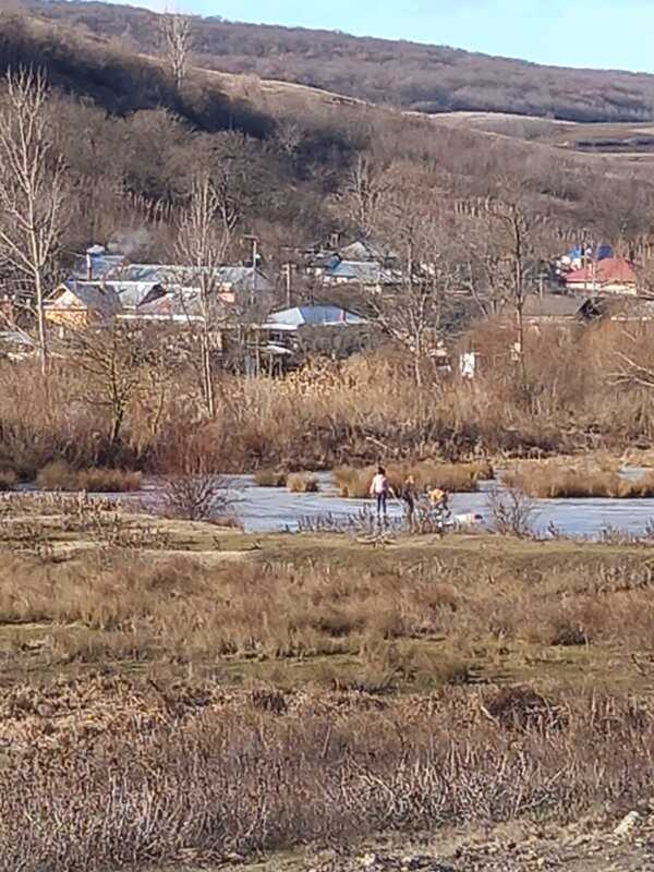 Județul Vaslui 2021