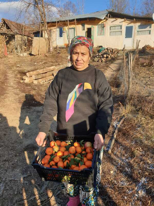 Județul Vaslui 2021